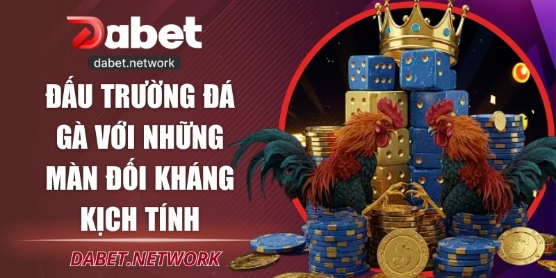 Đấu trường đá gà với những màn đối kháng kịch tính